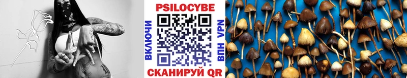 Купить закладки  Хабаровск  Псилоцибиновые грибы мицелий 